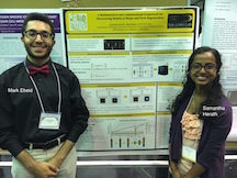 A Mathematical and Computational Framework for Discovering Models of Shape and Form Regeneration. Samantha Herath, Mark Ebeid, and Daniel Lobo, Ph.D., Biological Sciences