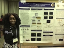 The Role Of Apontic In Cell Migration And Stem Cell Dynamics. Sylvia Edoigiawerie, Bradford Peercy, Ph.D. (Mathematics & Statistics), and Michelle Starz-Gaiano.Ph.D. (Biological Sciences)